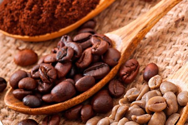 Szczegółowe omówienie kawy arabica: charakterystyka, uprawa i smak