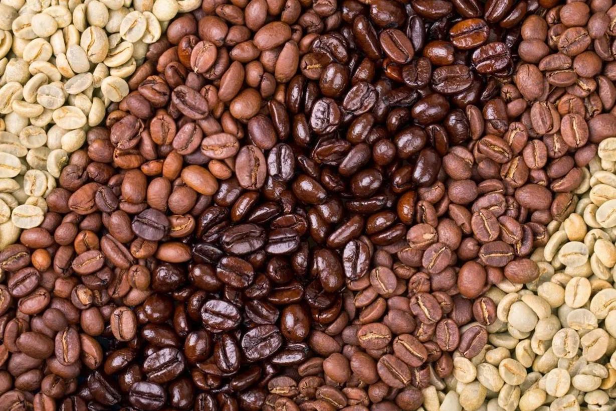 Różne rodzaje ziaren kawy i ich wpływ na gorycz
