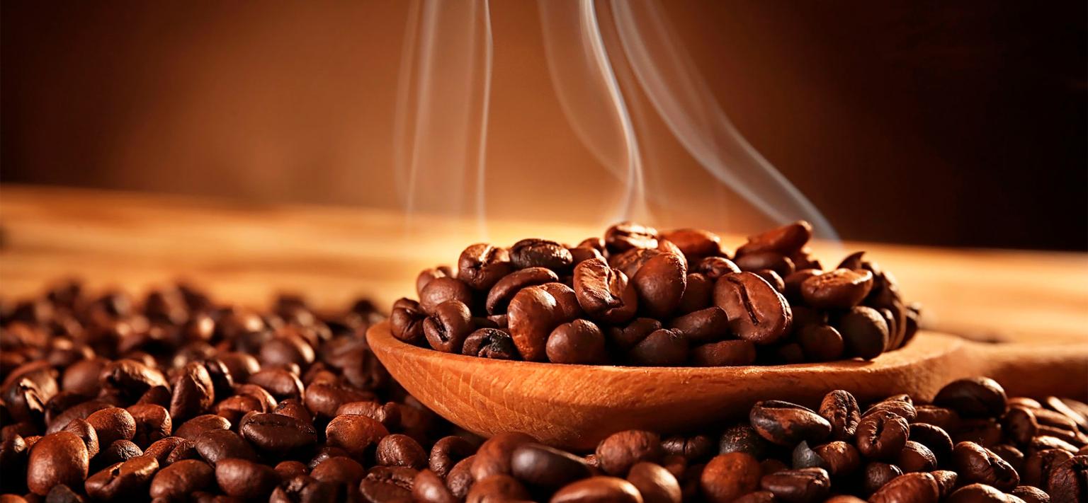 Wszystko, co musisz wiedzieć o kawie robusta: profil smaku, uprawa i zastosowanie