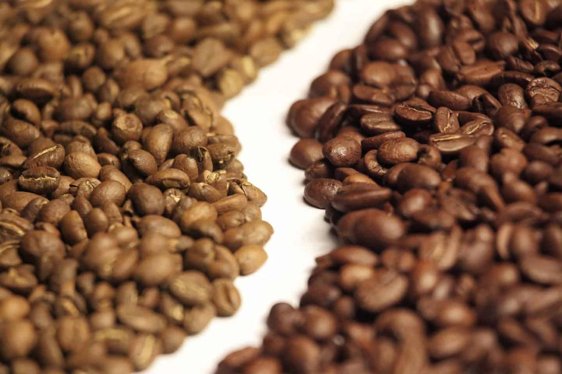 Wprowadzenie do różnych rodzajów kawy: arabica, robusta i inne