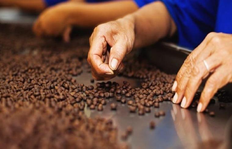 Korzyści społeczne i ekonomiczne związane z kawą fair trade