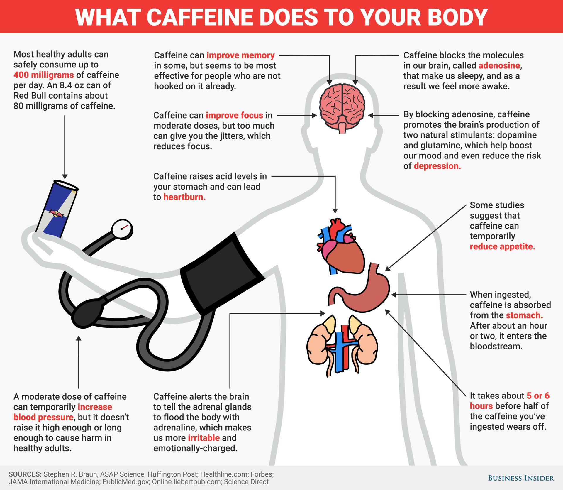 Mechanizm działania kofeiny: jak kawa wpływa na nasz organizm